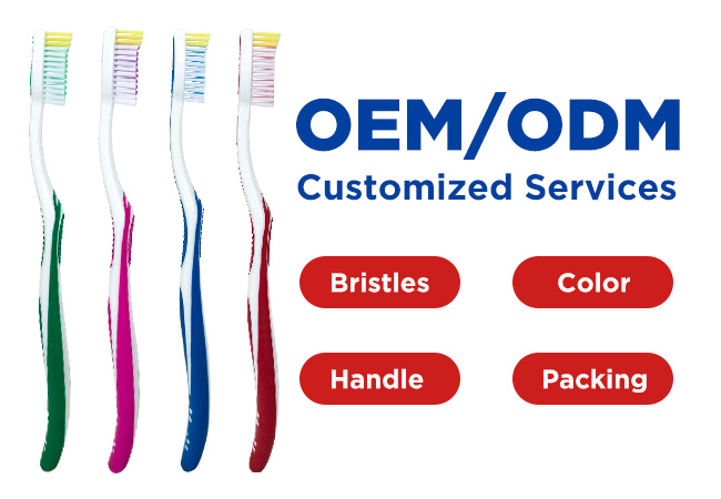 Hs Code Toothbrush Nylon Bristle Toothbrush DX-079 - dexing